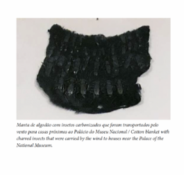 Archive for the Eleventh Hour